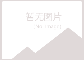 陆川县晓亦能源有限公司